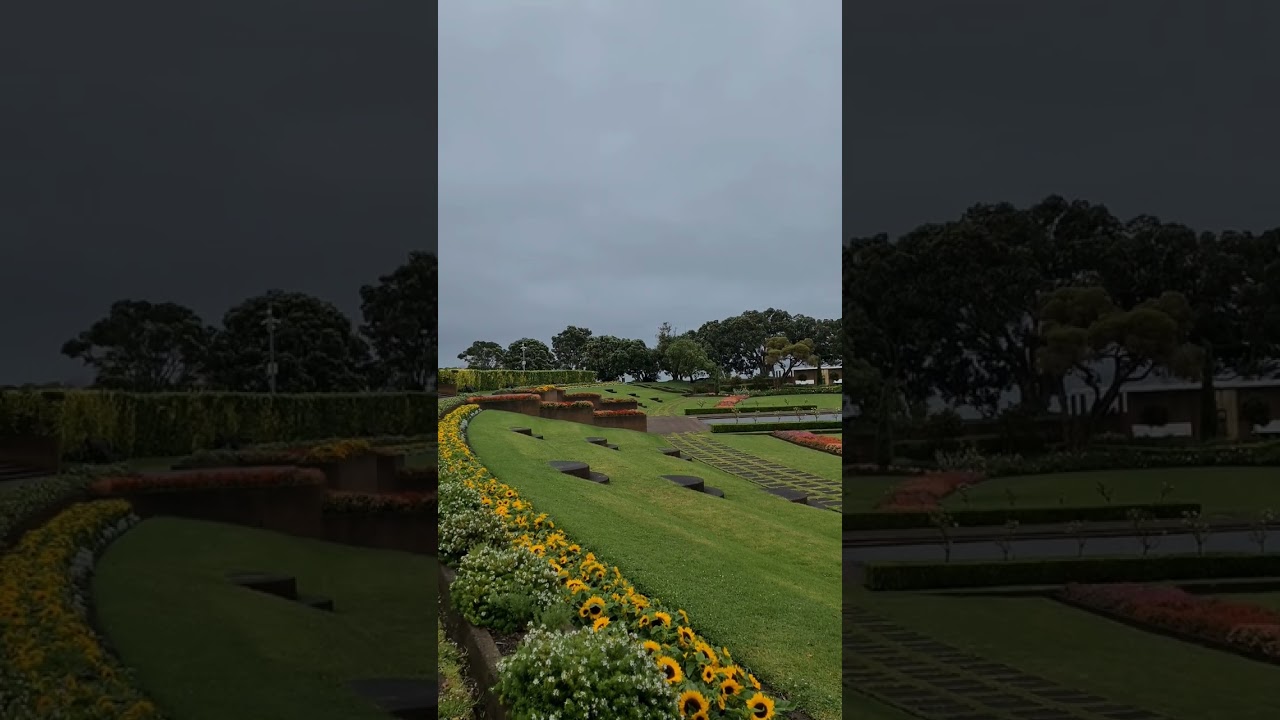 YouTube Short thumbnail