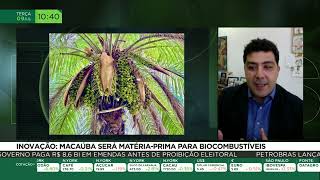 Miniatura do vídeo