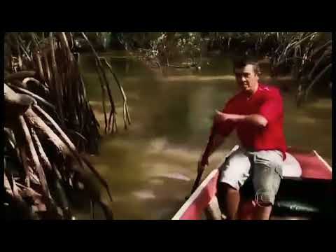 Eu vou Tomar uma Cajuína (Paródia) | Voando Pro Pará - Joelma