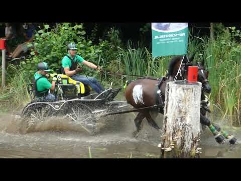 HÖLLE Martin, HUN, CAI2# Exloo, H2, Marathon Ob 2, 15 08 2020