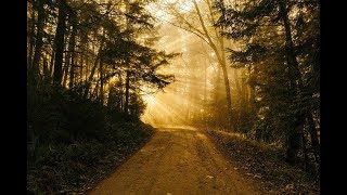 The Road Goes Ever On and On