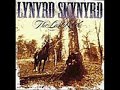 Lynyrd Skynyrd - Born to Run