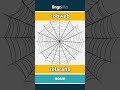 cobweb - telaraña video thumbnail