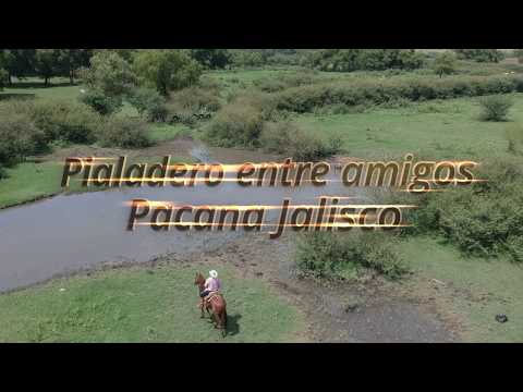 Pialadero desde Pacana Jalisco