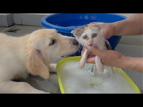 YouTube 썸네일