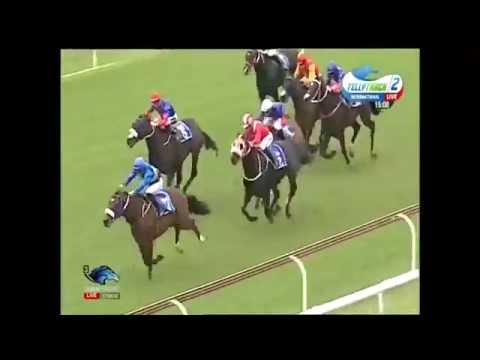 Wylie Hall - Gr2 Colorado King Stakes (2015)