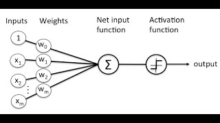 starting to learn neural networks with Golang