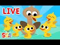Super Simple Songs LIVE Kids Songs Super Simple Songs