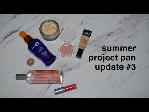 Summer Project Pan Update #3 | morerebe