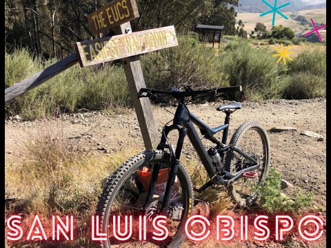 I ran out of talent getting to the "Eucs" in San Luis Obispo