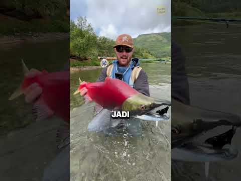 Ini Mungkin Ikan Paling Berparasit!