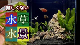 【アクアリウム】ソイル無し水草水槽立ち上げ/ブラックサンドと石で30㎝キューブ水槽をレイアウトする【条件付】