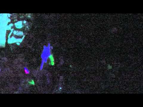 videoorgel + Spießergarten im Treibsand | 2012