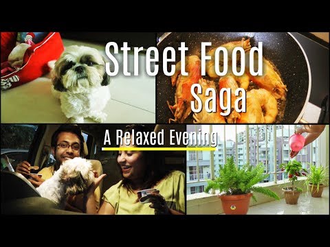 Indian Petmom Vlog an Exciting Day Vlog | Street Food Golgappa/Pani Puri/Fuchka | Jamun Ice Cream🍨 Video