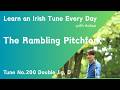 200 The Rambling Pitchfork (Double Jig, D Ionian)