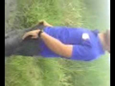 dibalik cadar biru%persi kevin.3gp