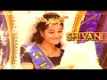 Saregamapa Seniors Season 5 Grand Finale Live 23rd November Sun 5 PM Promo Zee Tamil