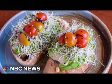 CDC investigates cases of salmonella and E.coli linked to alfalfa sprouts