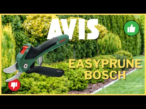 Bosch EasyPrune : Mon Test du Sécateur Électrique