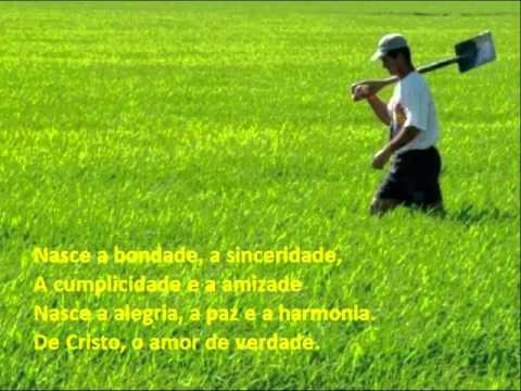 O Agricultor video