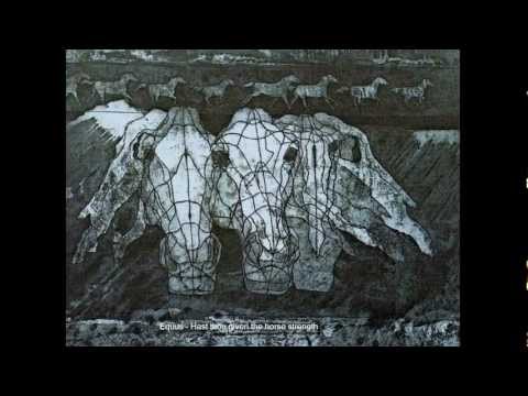 Thumbnail for The Equus project Manny (M) Sena.wmv