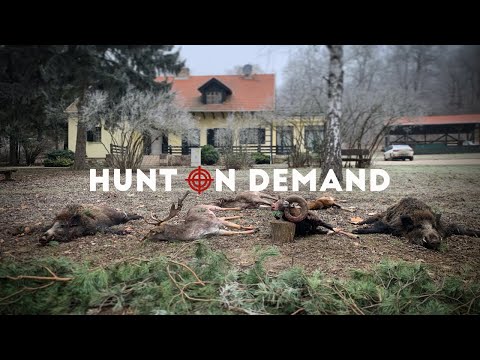 Jagd in Galgamacsa - Huntingroom Hunt on Demand Trailer