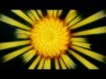 Snow Patrol - The Sunlight Through The Flags ...