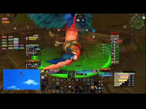 Hakkar the Soulflayer - Paladin Tank PoV - WoW Classic PTR
