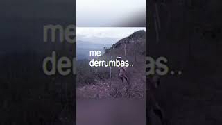 Download lagu Gregorio Del Pilar #edit #history #philippines #general #viral #fyp mp3 Download lagu Gregorio Del Pilar #edit #history #philippines #general #viral #fyp mp3