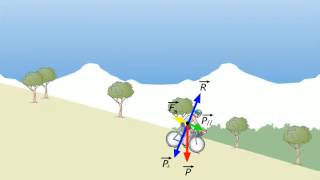 TEORIA 1° Principio della Dinamica RUFFO ZANICHELLI