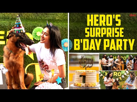 My Dog Hero's Surprise Birthday Party | Pawty | Ramya