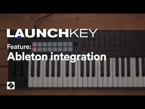 Novation Launchkey 25 MK3 USB MIDI Keyboard Controller (25-Key) image 2