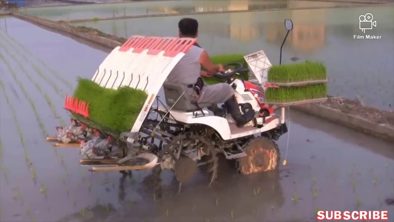 Planting Rice Easy Way: Pagtatanim ng Palay gamit ang Makina