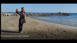 7 Enchaînements de Kung Fu Shaolin - Niveau débutant, intermédiaire et gradés - 