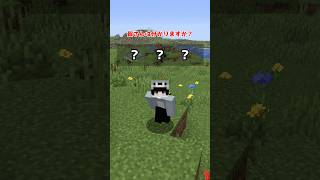 【マイクラ】サウンドの意外と知らない秘密
