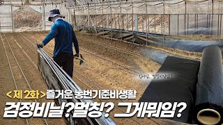 작물 심을 때 반드시 멀칭을 해줘야 하는 이유