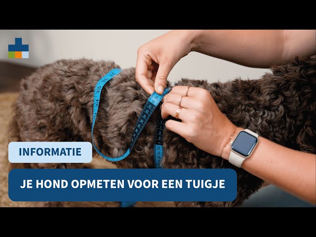 video-4BXSnrFpX8c