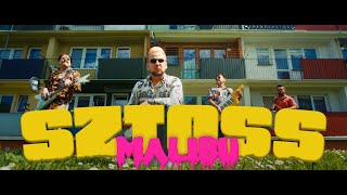 Kadr z teledysku Sztoss tekst piosenki Malibu