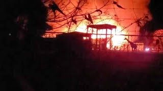 Giraffen rennen um ihr Leben in Wildlife Park (Video)