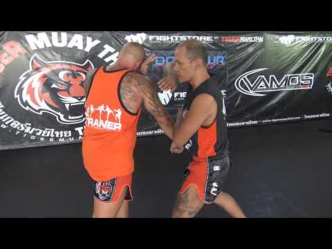Mae Mai Muay Boran Technique: Salab Fan Pla