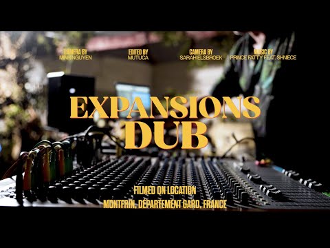 Expansions Dub - Prince Fatty feat. Shniece - Live Dub Mix