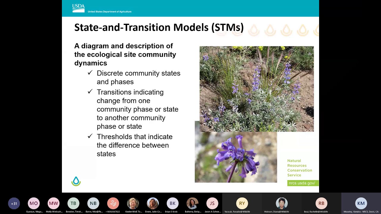 Modoc Plateau Vegetation Mapping 10/2/ 2020. Using VegCAMP and BIOS data for Eco Site Descriptions,