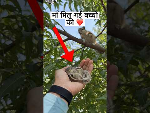 Baccho Ki माँ Mil Gayi 🥰 | #minivlog