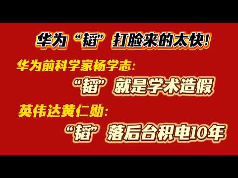 Huawei's \Tao\ (a pseudonym) has been exposed too quickly! Former Huawei scientist Yang Xuezhi: \...