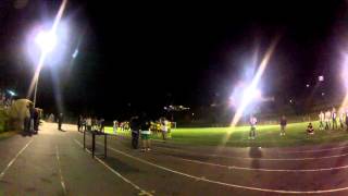 Ambiental 2013 - ojos verdes - la gran marea verde