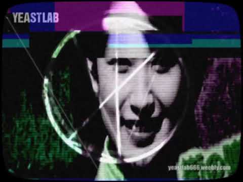 THE WRONG TYPE / SHITLIP