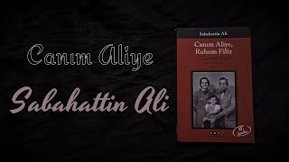 Canım Aliye (17. Mektup) | Sabahattin Ali