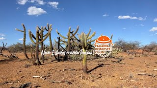 Transmissão ao vivo de Bruno Façanha