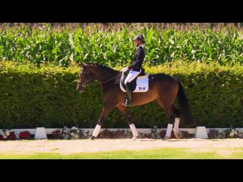 48 Franzis  Stute v. Franziskus -  Rock Forever I