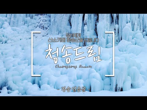 청송드림ㅣ❄현실판 얼음왕국❄ 청송 얼음골